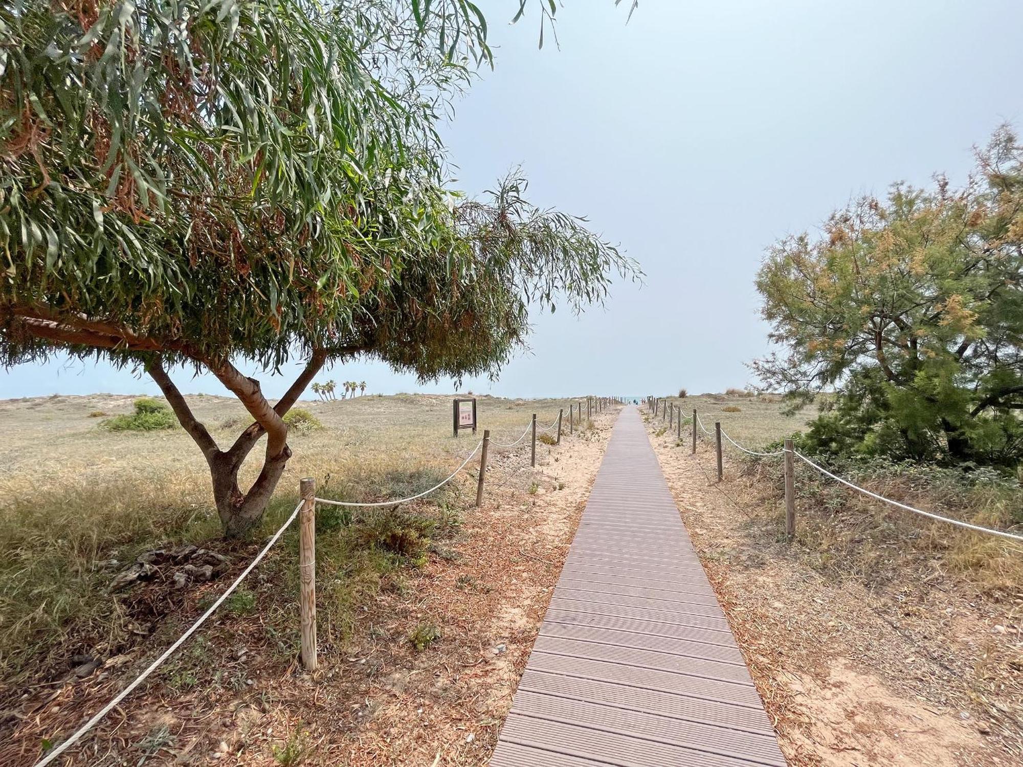 Global Properties, Apartamento En Primera Linea De Playa En Canet Canet d'En Berenguer Exterior foto